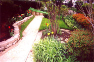 Lawn Service, Landscape Design and paving in chicago